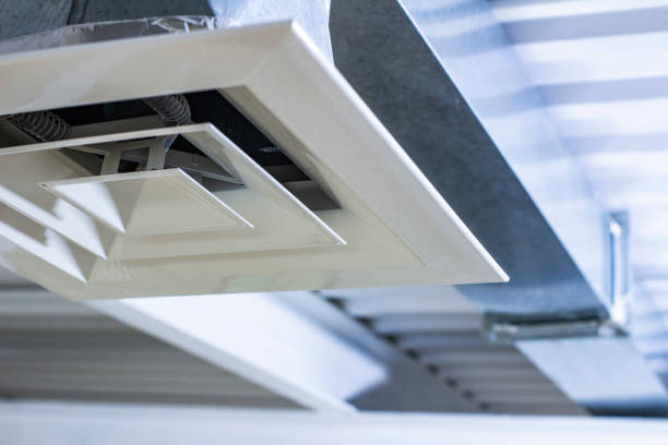 Best Local Air Duct Cleaning Services  in Stanton, MI