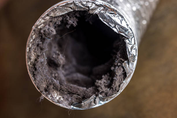 Best Air Duct Cleaning Near Me  in Stanton, MI