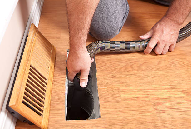 Best Professional Duct Cleaning Services  in Stanton, MI