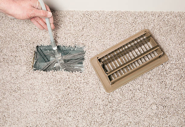 Best Air Duct Mold Removal  in Stanton, MI