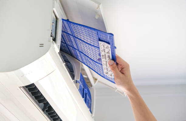 Best Residential Air Duct Cleaning  in Stanton, MI