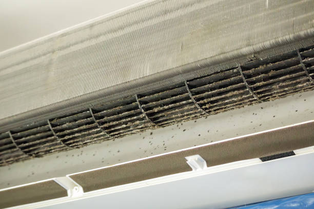  Stanton, MI Airduct Cleaning Pros