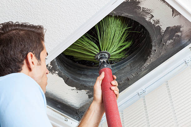 Best HVAC System Cleaning  in Stanton, MI