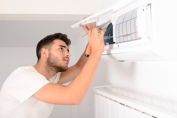 Best Home Air Vent Cleaning  in Stanton, MI